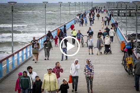 nkl tiesiogiai|palanga tiesiogiai bite.
